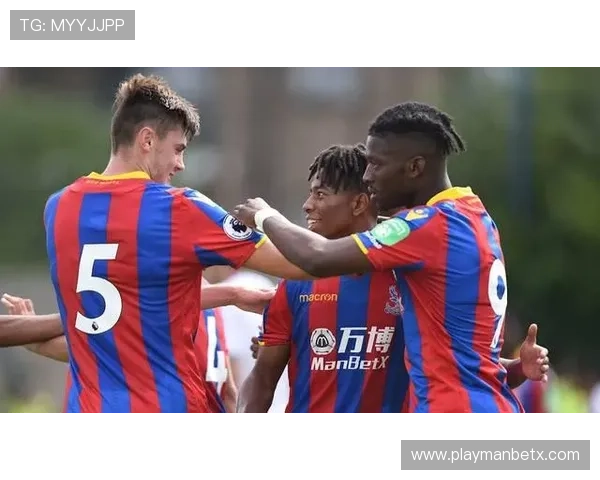 万博manbetx体育在线：平台优惠活动与会员福利详细介绍与参与指南