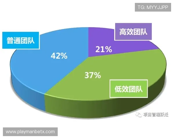 万博团队：万博团队的成功案例分享，探索高效团队建设与管理的实用方法