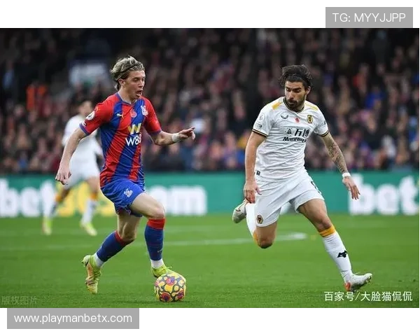 万博官方网站水晶宫：粉丝互动平台与球队最新活动信息