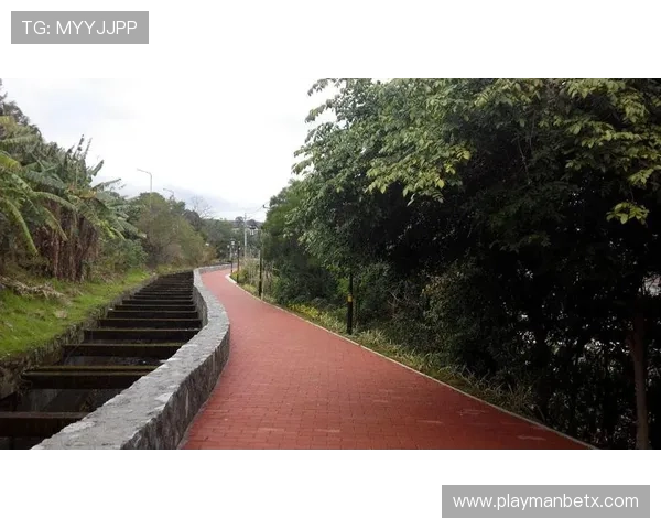 全面介绍manbetx app客户端的功能特色与操作流程，助你快速上手