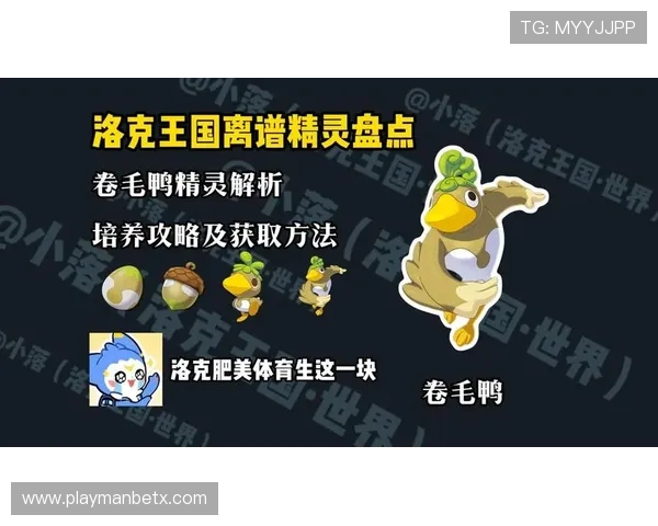 八戒体育首页官方地址官方入口地址更新通知及登录流程全攻略